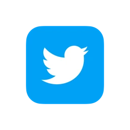 X (Twitter)